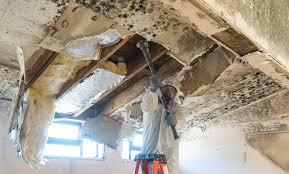 Best Asbestos and Lead Testing During Mold Inspection  in Richfield, UT